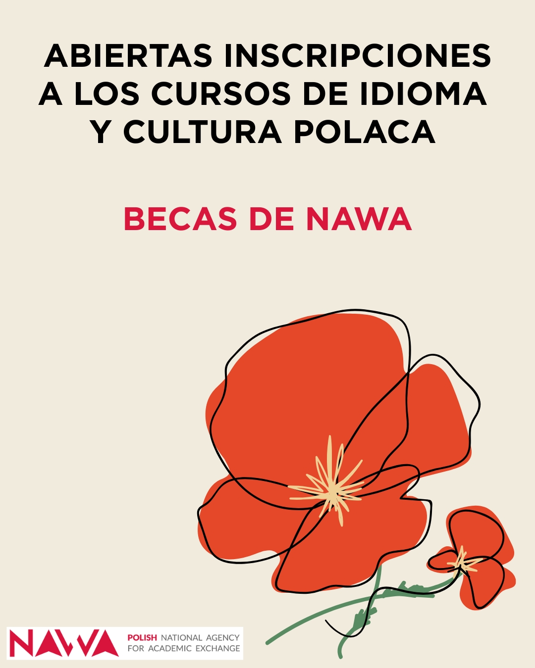 Cursos de verano en Polonia